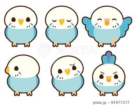 セキセイインコ_ブルー　フチあり 95977377