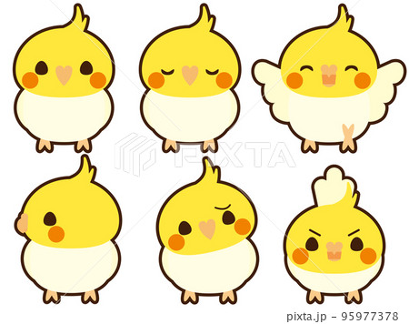 オカメインコ　セット　フチあり　ルチノー 95977378
