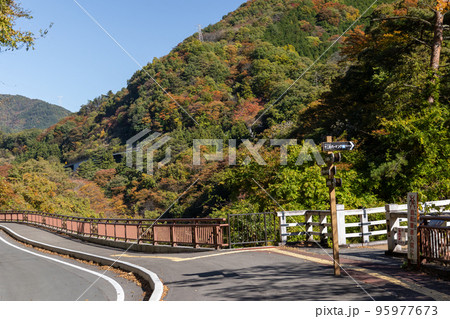 秋の吾妻渓谷　猿橋付近　群馬県 95977673