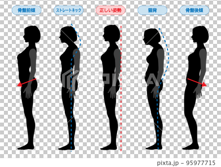 良い姿勢 猫背 反り腰 ストレートネック 骨盤後傾 前傾 女性の全身横向きシルエットのイラスト 良い姿勢 猫背 反り腰 ストレートネック 骨盤後傾 前傾 女性の全身横向きシルエットのイラスト 95977715