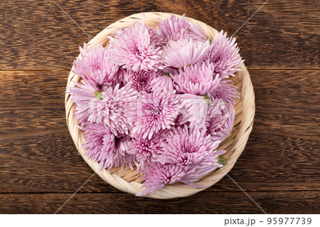 山形県産 もって菊 山形県産 もって菊 95977739