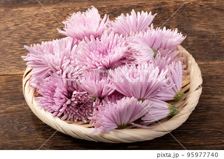 山形県産 もって菊 山形県産 もって菊 95977740