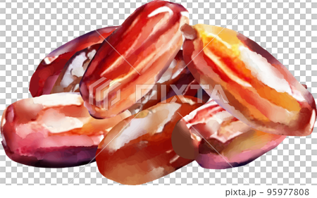 Dates vector illustration set 95977808