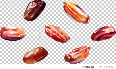 Dates vector illustration set 95977809