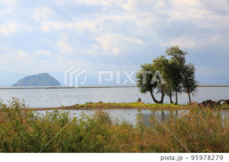 晩秋の湖北散策・82(滋賀県長浜市) 晩秋の湖北散策・82(滋賀県長浜市) 95978279