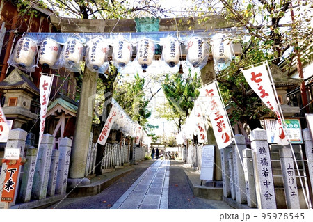 七五三ののぼりが立ち並ぶ弥栄(彌榮)神社の鳥居　大阪市生野区 95978545