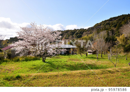 桜咲く里山の風景 95978586