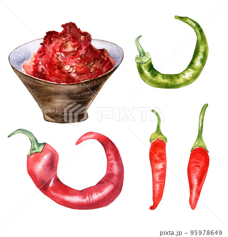 Powder red hot peppers in a bowl watercolor illustration isolated on white background. Powder red hot peppers in a bowl watercolor illustration isolated on white background. 95978649