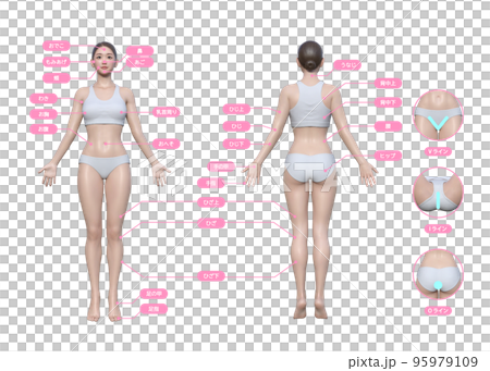 女性關心的全身除毛部位與VIO線3D模型 女性全身前後插畫套裝 女性關心的全身除毛部位與VIO線3D模型 女性全身前後插畫套裝 95979109