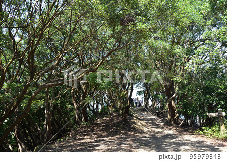友ヶ島・小展望台と山道 95979343