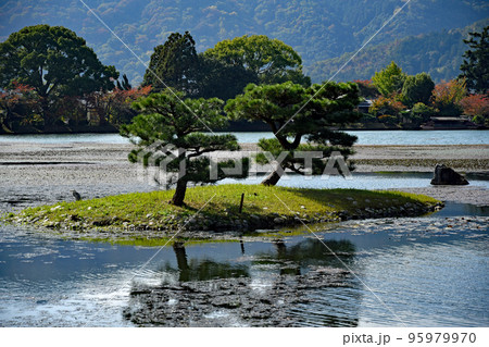 【風景】初秋の大覚寺大沢池 色づき始め 【風景】初秋の大覚寺大沢池 色づき始め 95979970