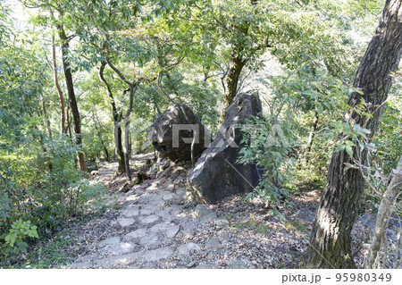 三毳山の夫婦岩 95980349