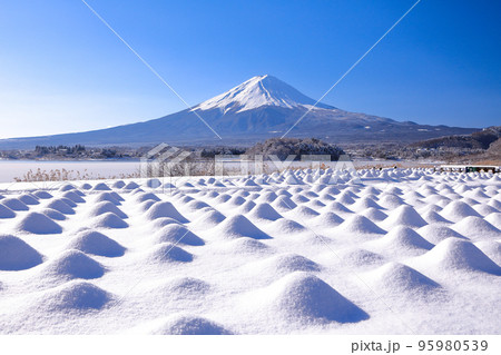 雪のラベンダー畑と富士山の風景 河口湖大石公園 雪のラベンダー畑と富士山の風景 河口湖大石公園 95980539