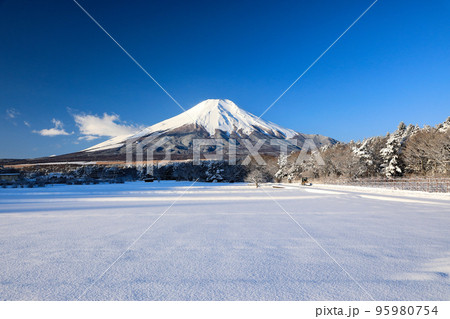 山中湖花の都公園の白銀の世界　山梨県山中湖村 95980754