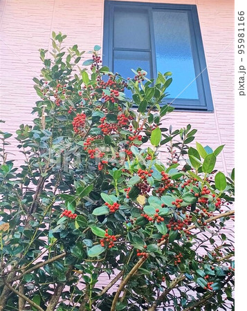 391»◤完売致しました。◢ 赤い木の実*クリスマスリース