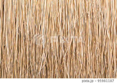 Close up of thatch roof or wall background. Tropical roofing on beach. High quality photo Close up of thatch roof or wall background. Tropical roofing on beach. High quality photo 95981187