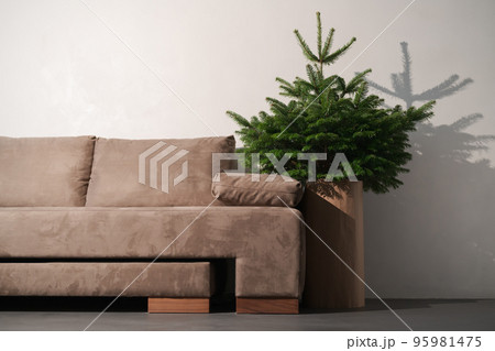 Small christmas tree indoor near couch in minimalist interior with copy space 95981475