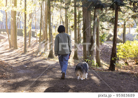 秋の公園で愛犬と散歩をする女の子 95983689