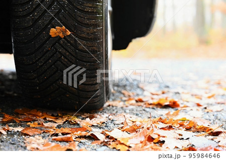 Tires with leaves and car on wet road in autumn season. Foggy and dangerous driving - concept for traffic and road safety. Tires with leaves and car on wet road in autumn season. Foggy and dangerous driving - concept for traffic and road safety. 95984646