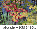 色々揃ってます 95984931