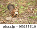 構え 95985619
