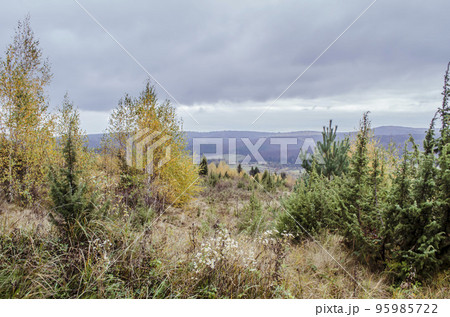 Carpathian mountains in the autumnlandscape scene. 95985722
