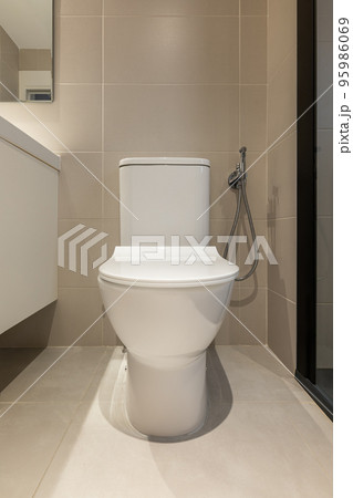 Front view of white toilet bowl in a modern bathroom. Sanitary equipment for a home Front view of white toilet bowl in a modern bathroom. Sanitary equipment for a home 95986069