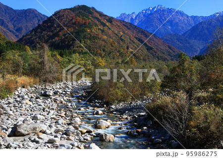 富山県上市町馬場島紅葉風景 95986275