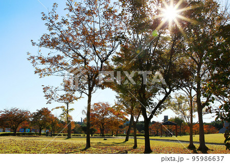 秋晴れの公園で時間を過ごすママ友 95986637