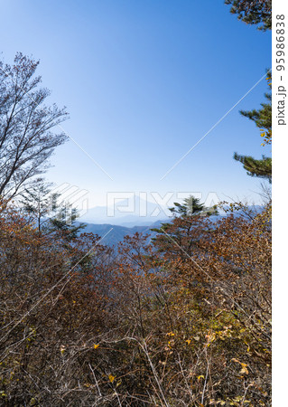 三頭山の西峰から見た富士山（都民の森） 95986838