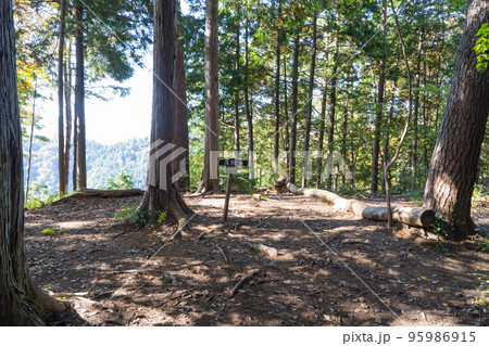 尾続山の山頂（山梨県上野原市） 95986915