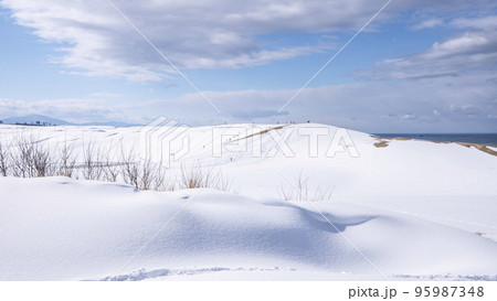 鳥取砂丘の雪景色 95987348