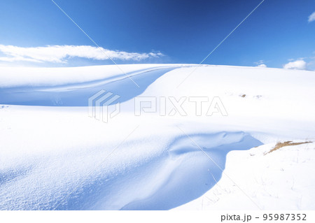 鳥取砂丘の雪景色 95987352