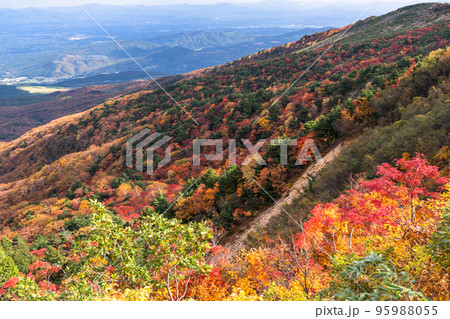《福島県》紅葉の原生林・秋の磐梯吾妻スカイライン 《福島県》紅葉の原生林・秋の磐梯吾妻スカイライン 95988055