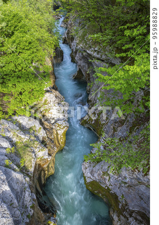 Great Soca Gorge (Velika korita Soce), Triglavski national park, Slovenia Great Soca Gorge (Velika korita Soce), Triglavski national park, Slovenia 95988829