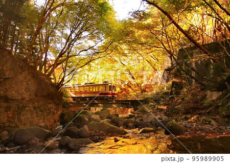 紅葉の渓流を眺めつつ奥鬼怒路を行く…龍王峡駅にて『6050系』 95989905