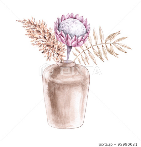 Watercolor vase with protea on a white background Watercolor vase with protea on a white background 95990031