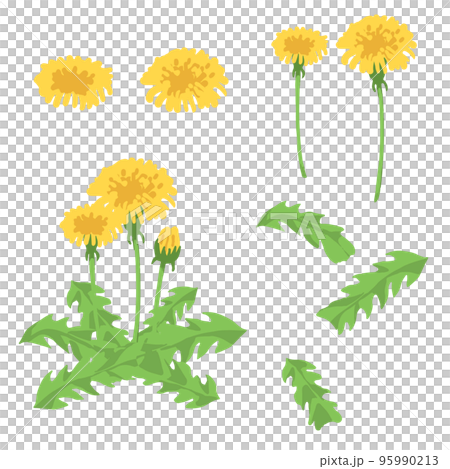 dandelion material dandelion material 95990213