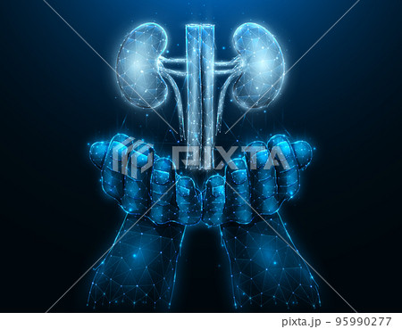 Polygonal vector illustration of a hand with human kidneys. Organ donation concept. Medical banner, template or background. 95990277