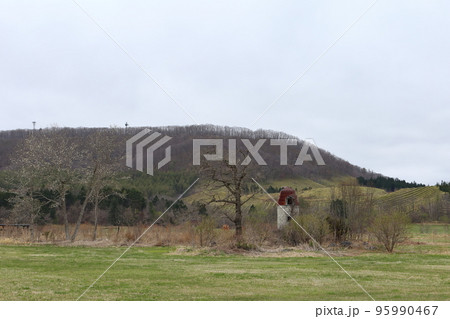 北海道 十勝地方 牧草畑に残る古いサイロ 北海道 十勝地方 牧草畑に残る古いサイロ 95990467