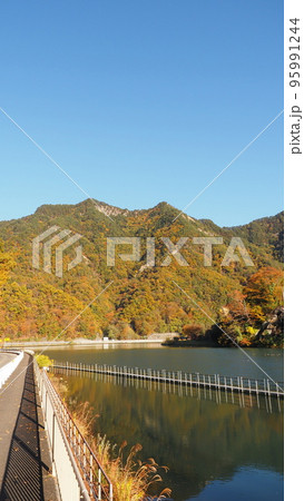 生坂村 生坂ダム湖の紅葉 生坂村 生坂ダム湖の紅葉 95991244