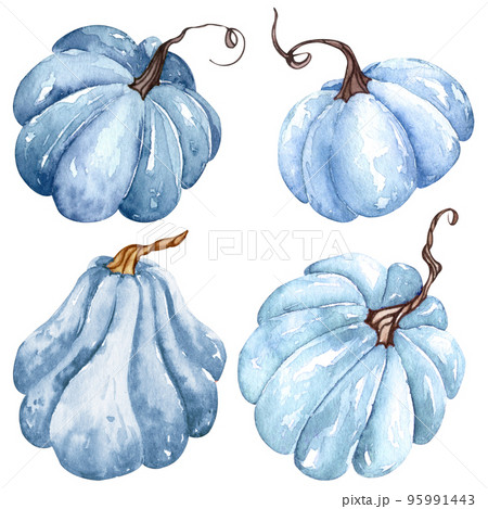 Watercolor blue pumpkin set, floral pumpkins, Halloween clipart, autumn design elements, fall. Harvest illustration isolated Watercolor blue pumpkin set, floral pumpkins, Halloween clipart, autumn design elements, fall. Harvest illustration isolated 95991443