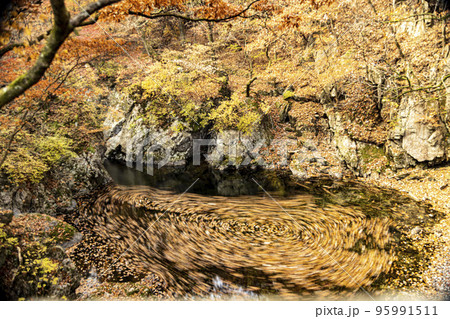 落葉 水 風景 95991511