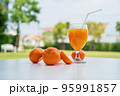 Orange juice and orange halves on the natural background. 95991857