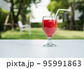 Watermelon juice and watermelon slices on the natural background. 95991863