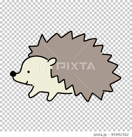 一隻可愛刺猬的簡單矢量圖解 95992562