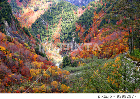 秋に紅葉するアルプスの山々 95992977
