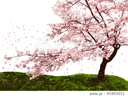 ダイナミックな一本桜と花吹雪が醸し出す和モダンな雰囲気 95993051