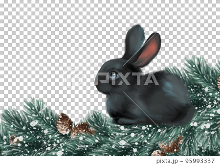 Cute black bunny and fir branches. Christmas illustration on white background 95993337