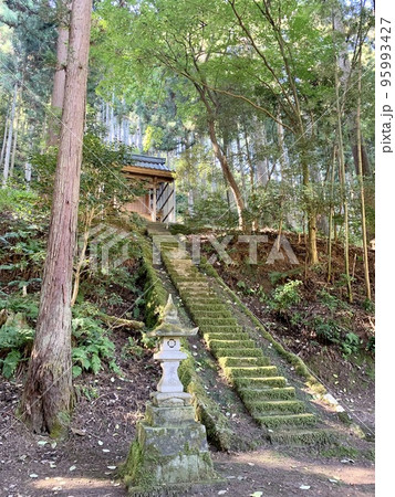 山の中にある小さな祠 95993427